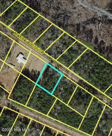$10,000 | Lot 43 Manor Ridge Drive, Clarkton, NC 28433