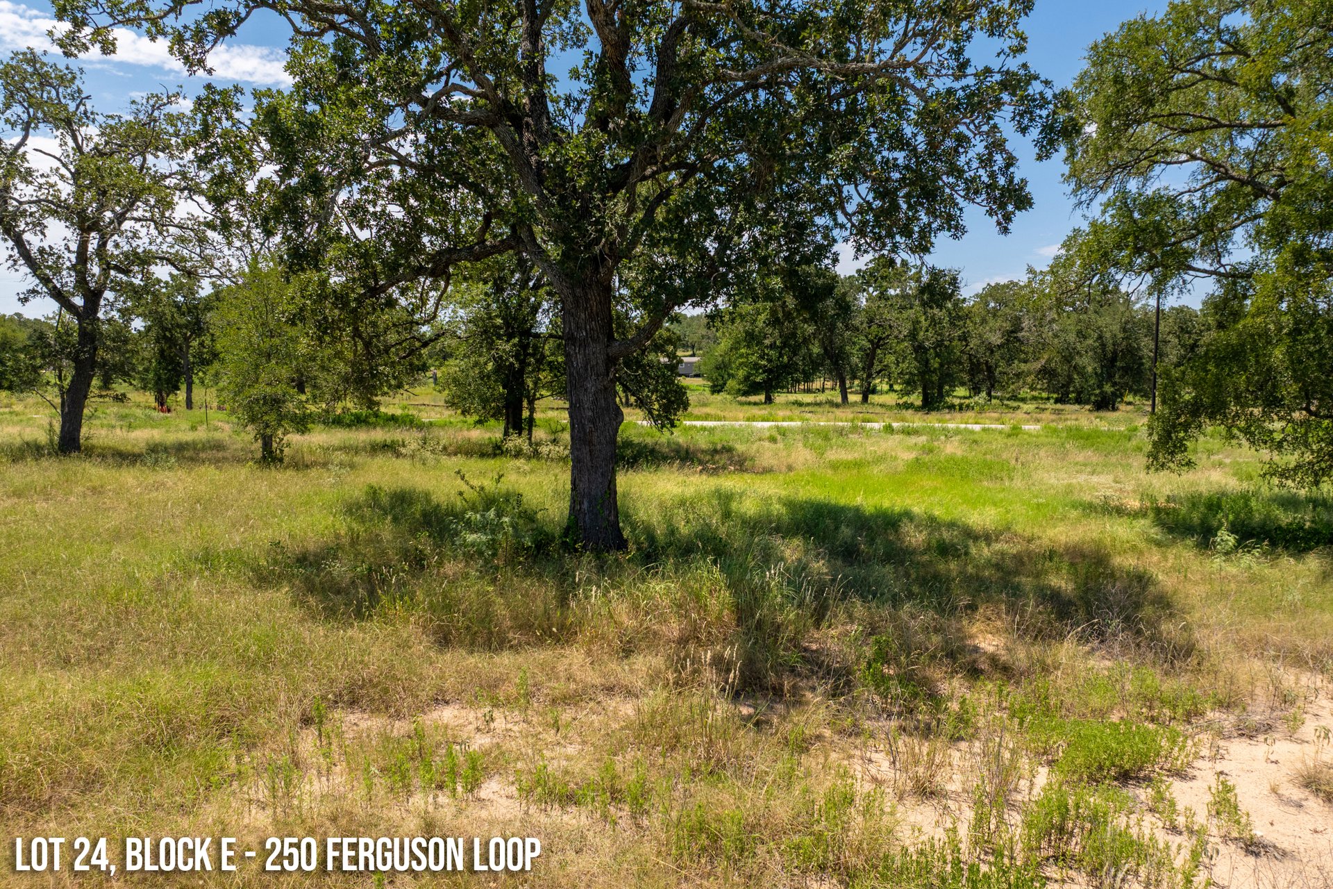 250 Ferguson Loop Dale Dale, TX 78616 - Photo 1 of 10 a view of yard with trees