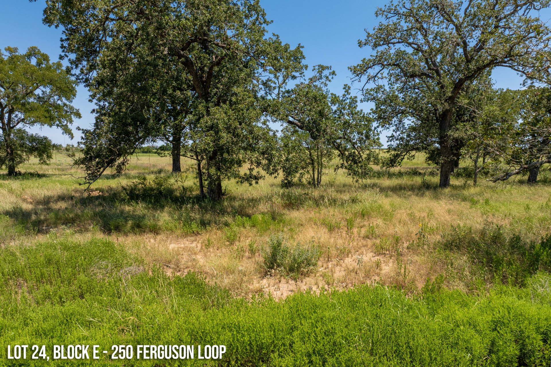 250 Ferguson Loop Dale Dale, TX 78616 - Photo 2 of 10