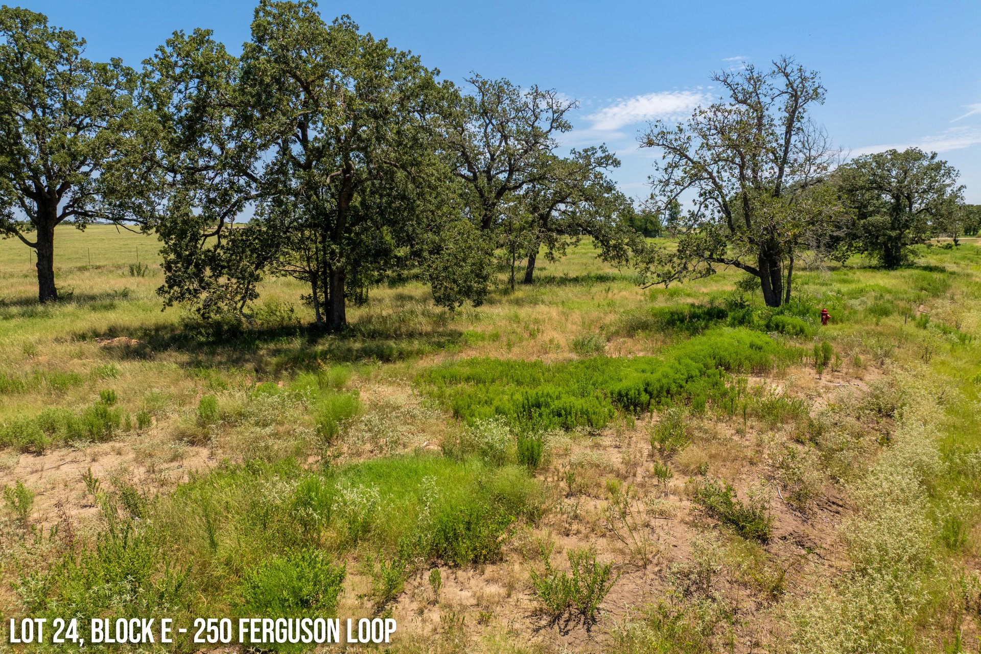 250 Ferguson Loop Dale Dale, TX 78616 - Photo 4 of 10 a view of yard with green space