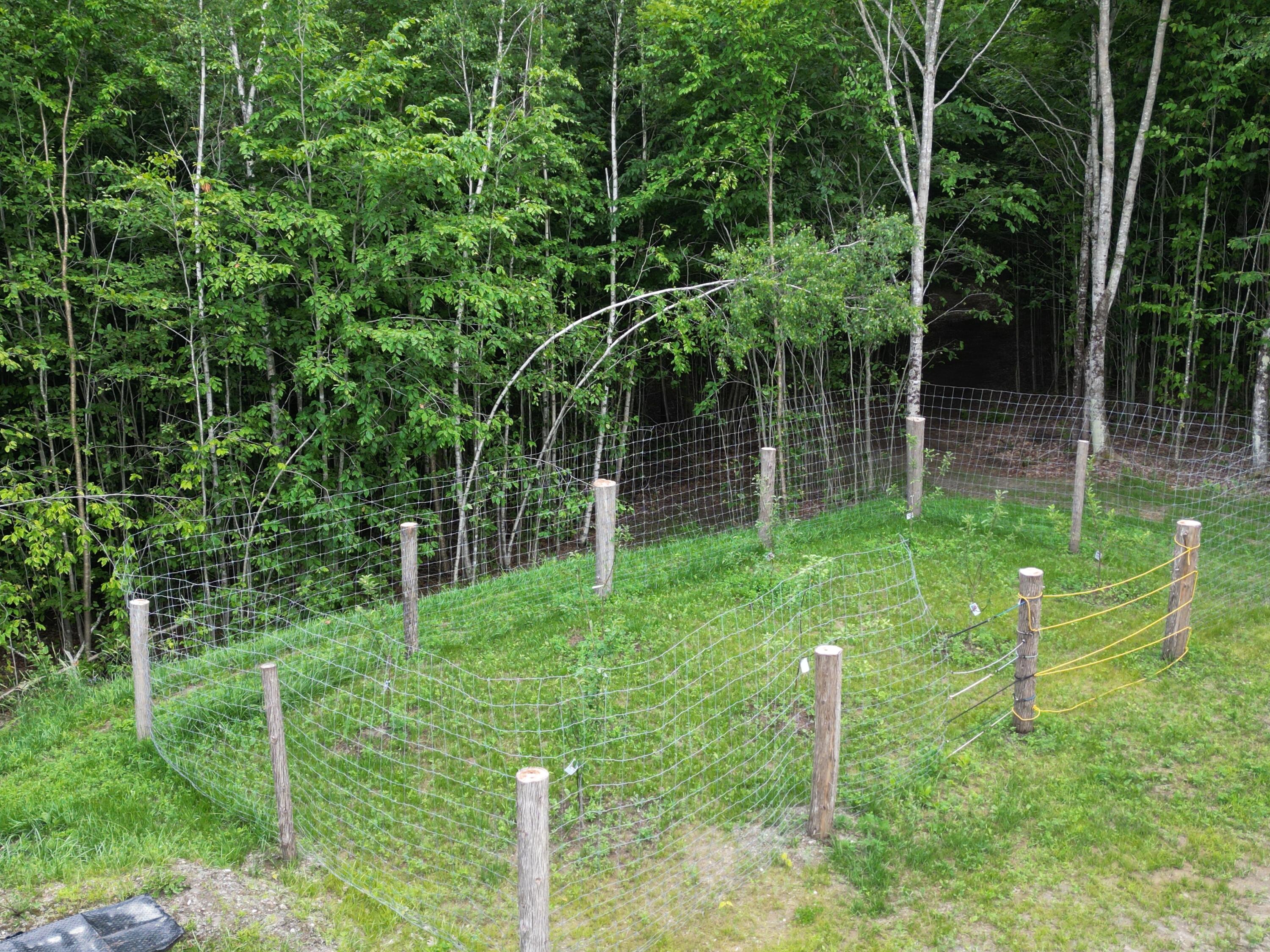 2 Old Dock Road Albion, ME 04910 - Photo 24 of 26 DJI_0435