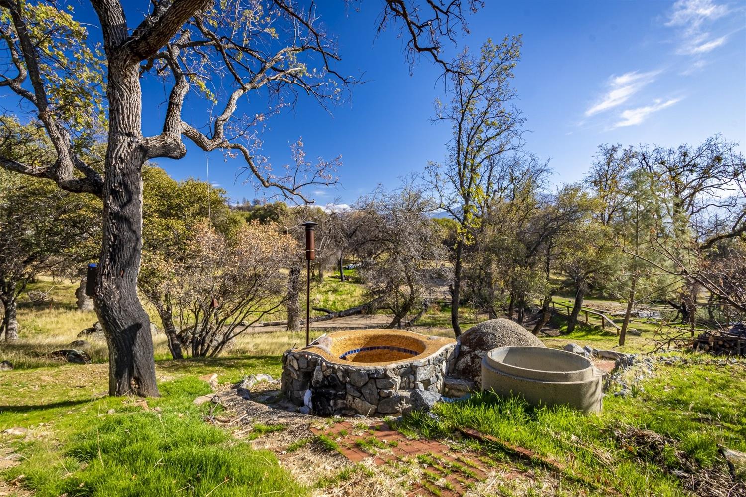 32100 Kinsman Flat Road North Fork, CA 93643 - Photo 43 of 62 a view of a backyard with plants and a fountain