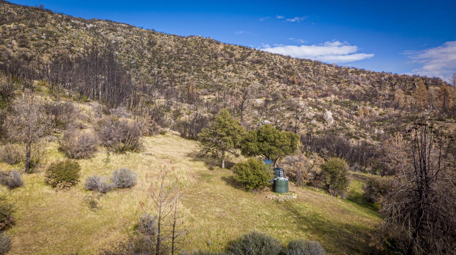 32100 Kinsman Flat Road North Fork, CA 93643 - Photo 48 of 62 a view of a field with trees in the background