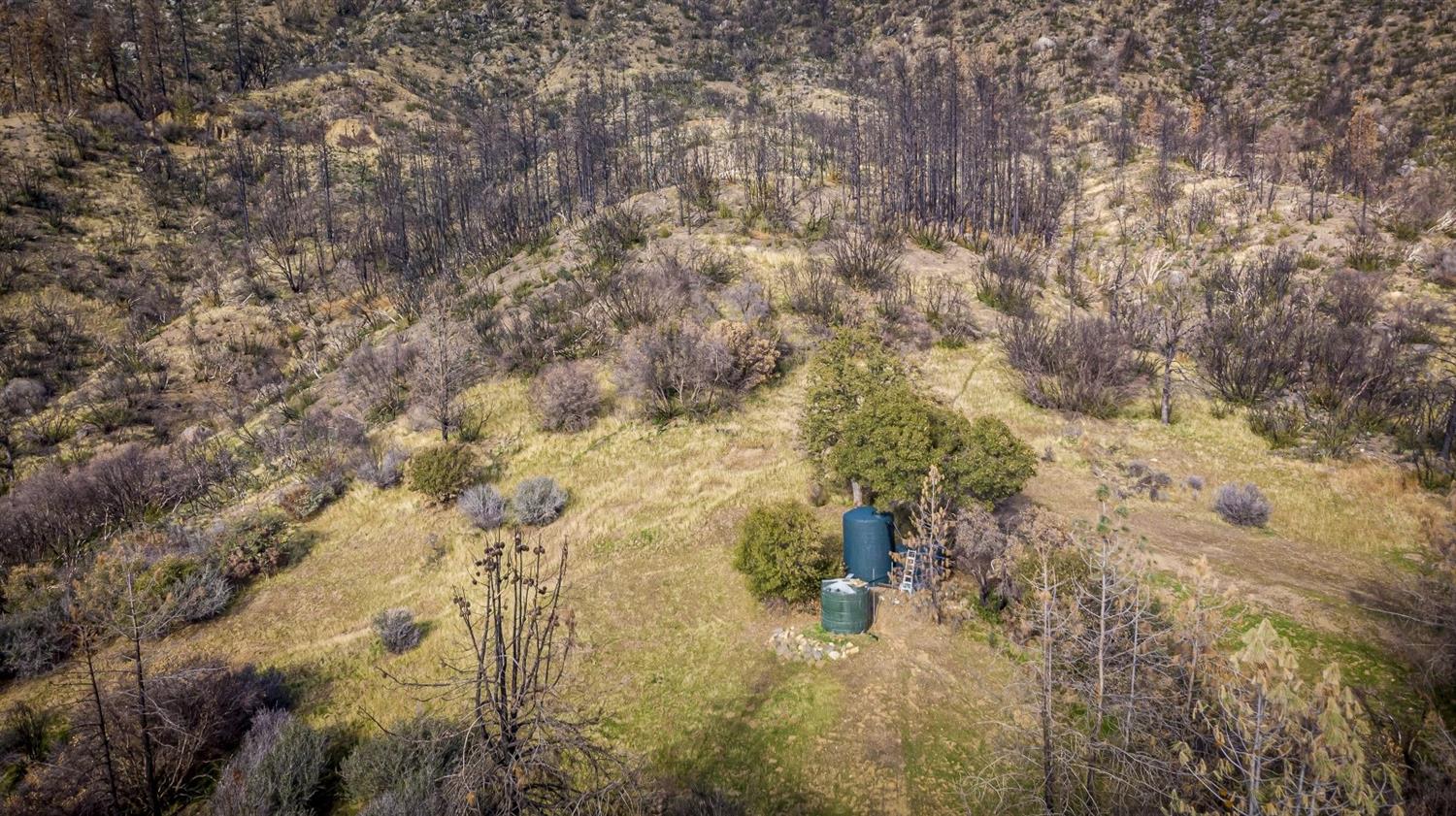 32100 Kinsman Flat Road North Fork, CA 93643 - Photo 57 of 62 a view of a yard