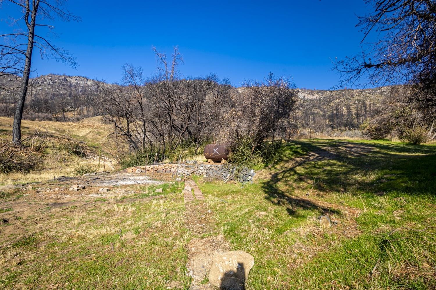 32100 Kinsman Flat Road North Fork, CA 93643 - Photo 58 of 62 a view of a yard with a tree