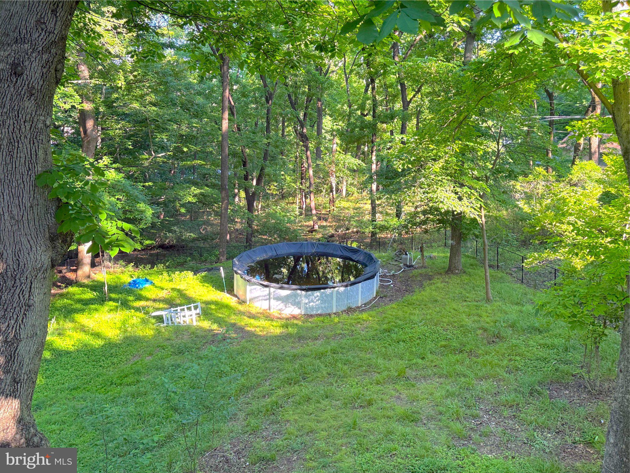 9006 Sidehill Road Ellicott City, MD 21042 - Photo 52 of 53 Tranquil retreat in lush greenery.