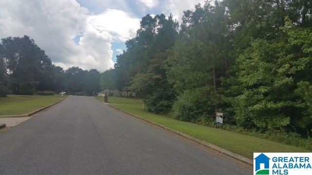 120 Hunter Ridge Lane Pell City, AL 35128 - Photo 13 of 21