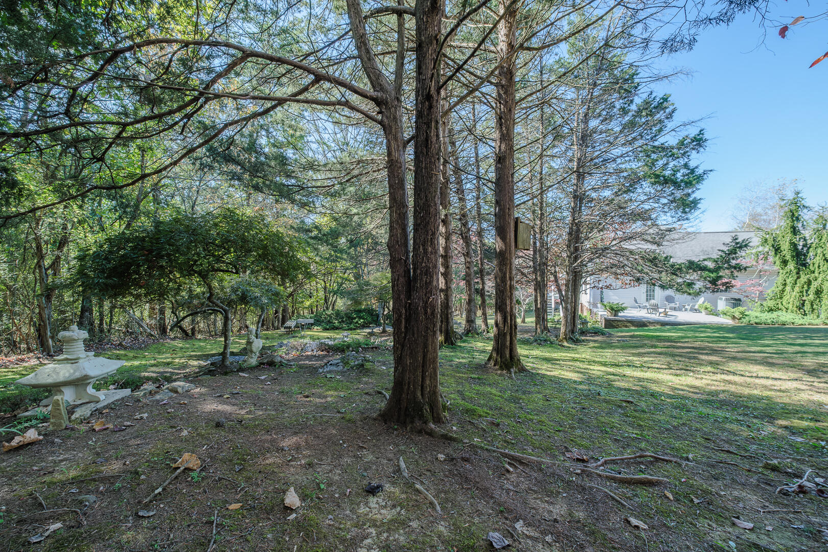 2697 Country Club Road Troutville, VA 24175 - Photo 57 of 75 2679 Country Club-58