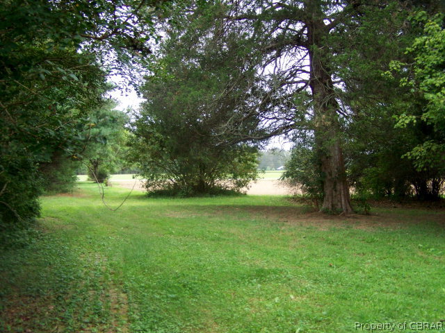 2304 Burchs Mill Road Urbanna, VA 23175 - Photo 4 of 33