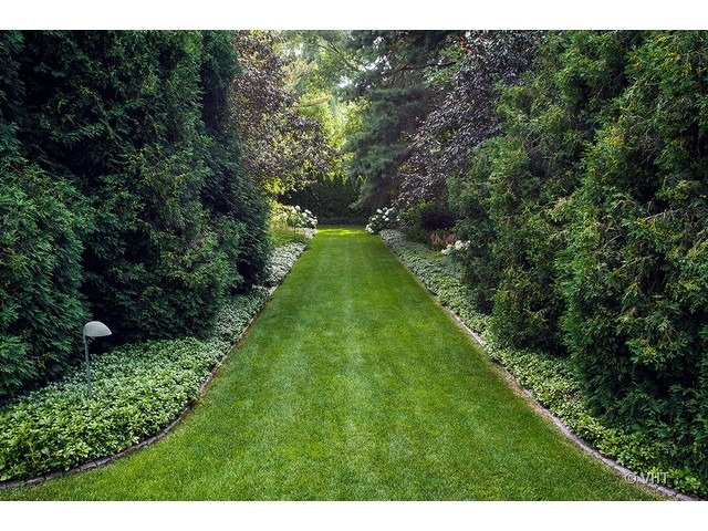 88 Locust Road Winnetka, IL 60093 - Photo 22 of 25 a view of a yard with plants and a bench