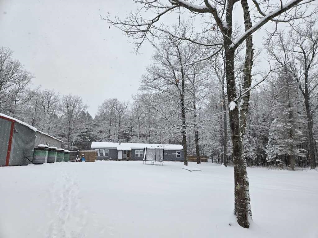 8385 Elevere Road Lachine, MI 49753 - Photo 21 of 32