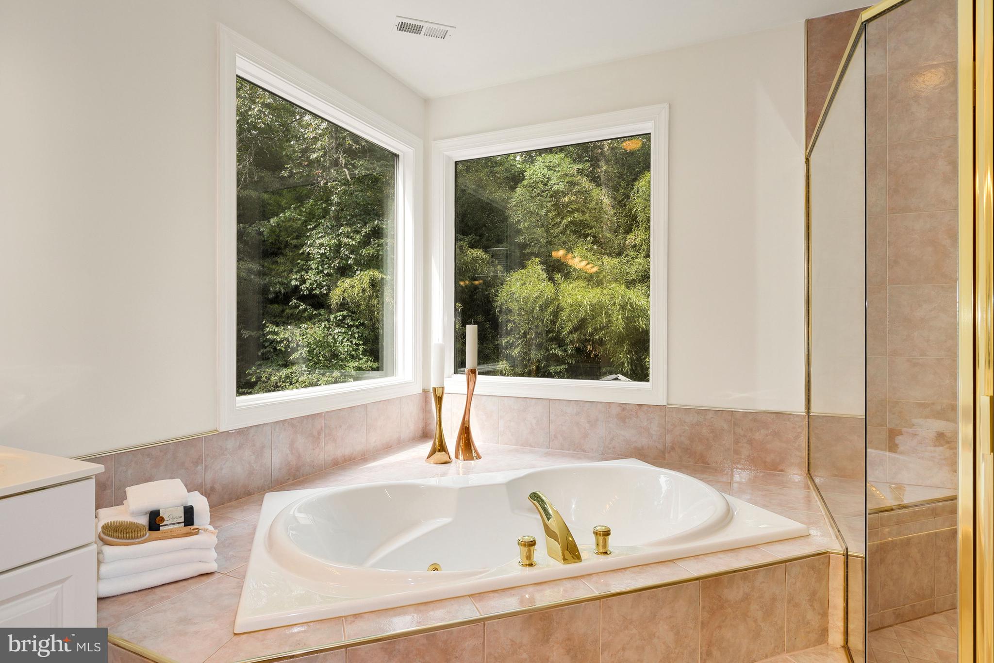 10121 Glen Road Potomac, MD 20854 - Photo 46 of 70 Jacuzzi tub bathed in natural light