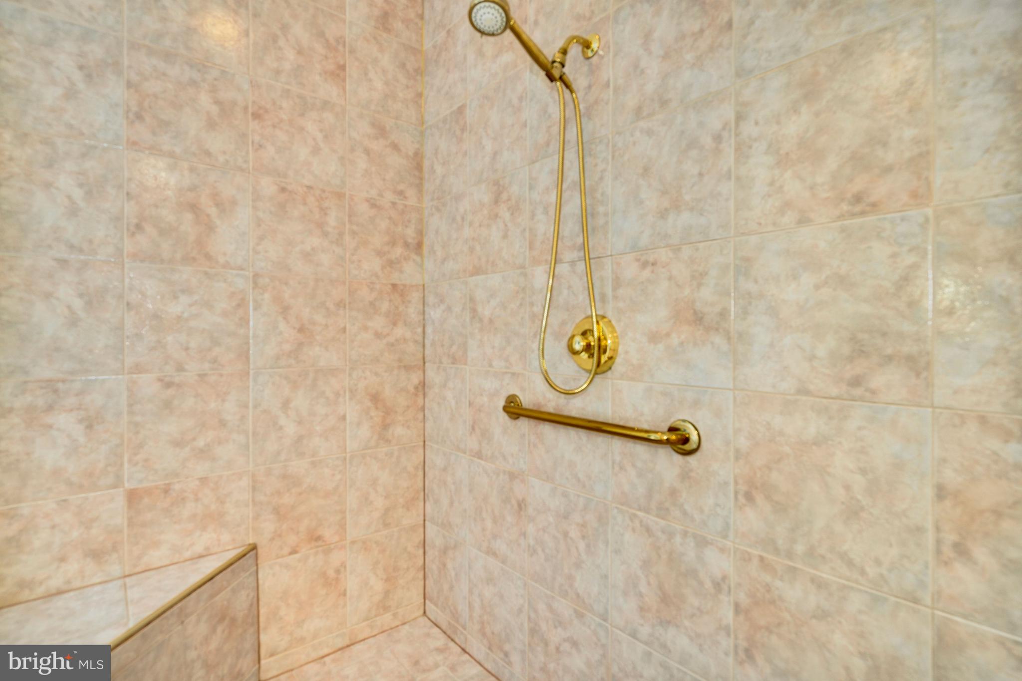 10121 Glen Road Potomac, MD 20854 - Photo 47 of 70 Dramatic tiling in walk in shower