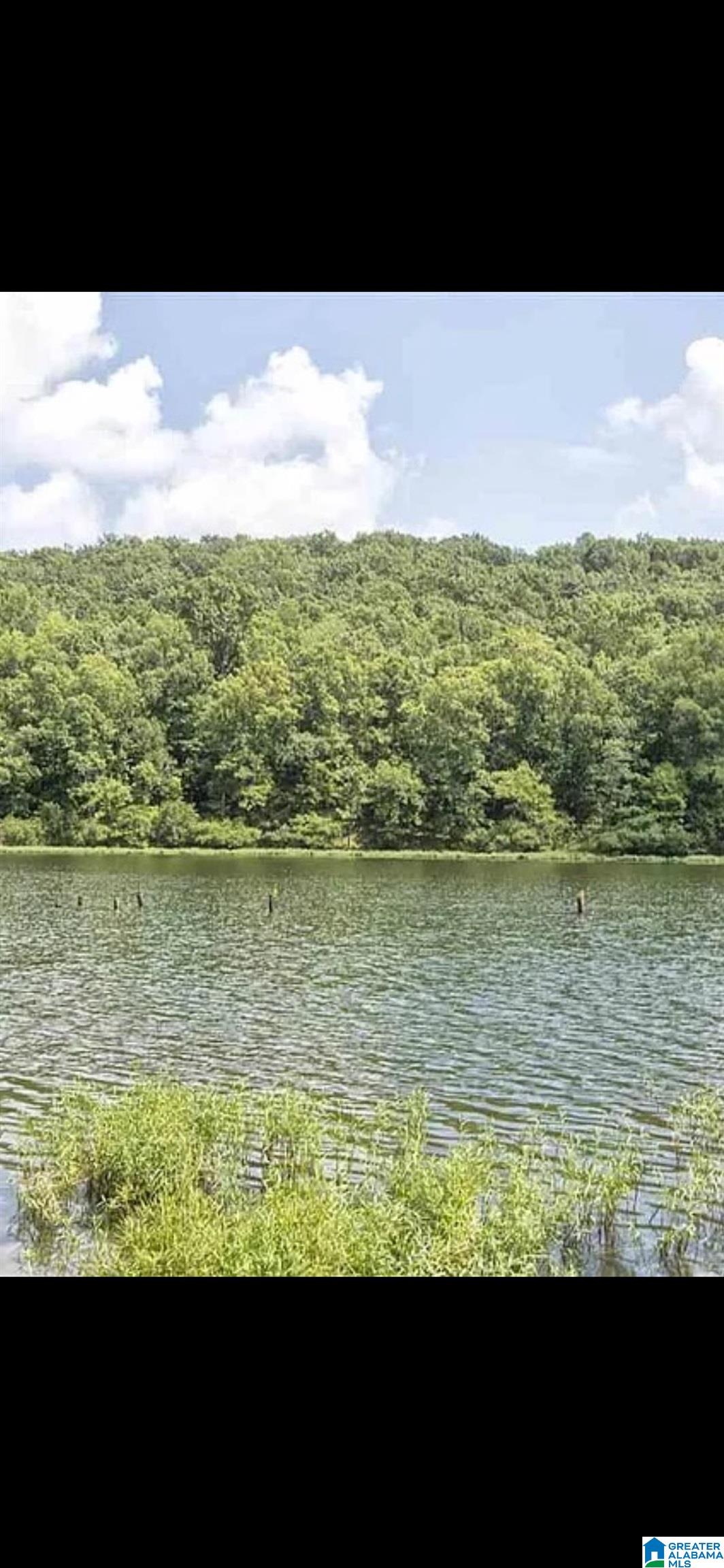 5637 Oak Mountain Lake Road Birmingham, AL 35242 - Photo 69 of 70