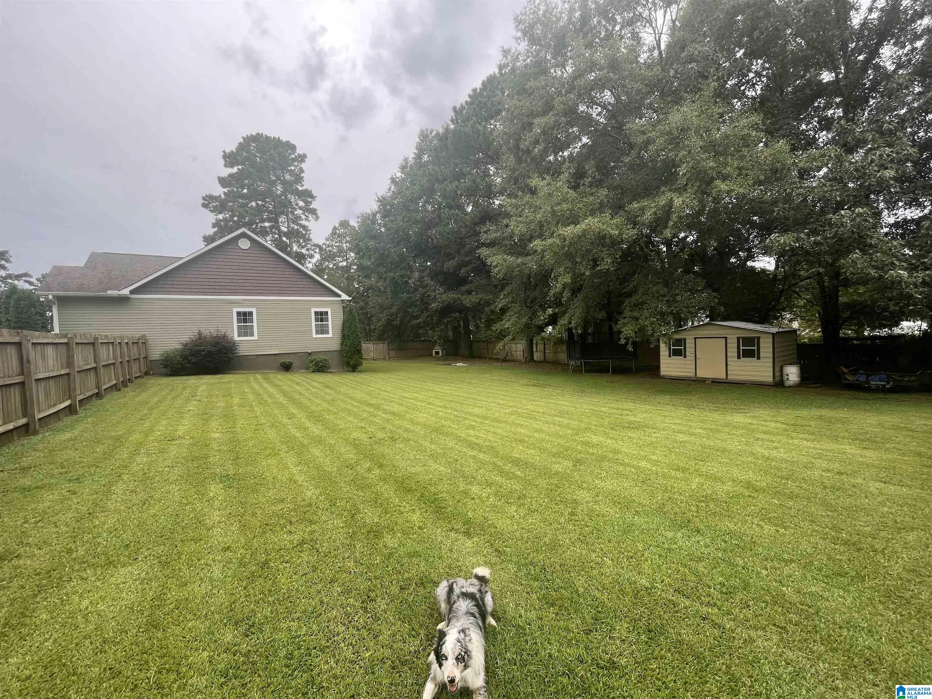 100 Lake View Circle Riverside, AL 35135 - Photo 4 of 24