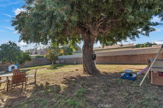 a view of a backyard with a large tree
