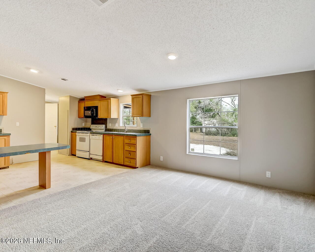 549 Quail Ridge Drive Lake City, FL 32024 - Photo 15 of 46 Sue Wilson Photography Jacksonville (25)