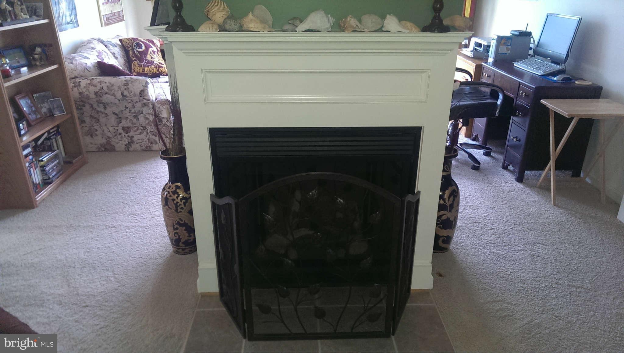 166 Peter Rabbit Drive Ranson, WV 25438 - Photo 12 of 14 a living room with furniture and a fireplace