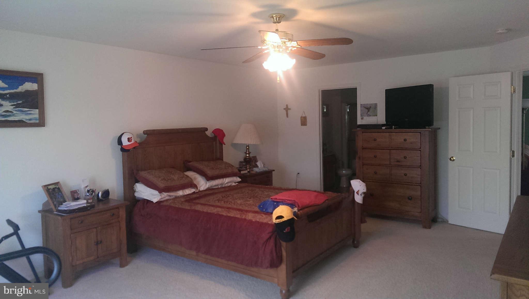 166 Peter Rabbit Drive Ranson, WV 25438 - Photo 4 of 14 a bedroom with a bed and a chandelier