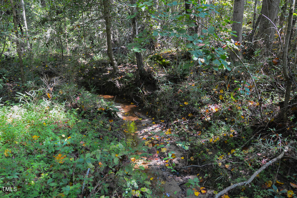 0 Greys Mill Road Louisburg, NC 27549 - Photo 5 of 13 DSC_0798 1