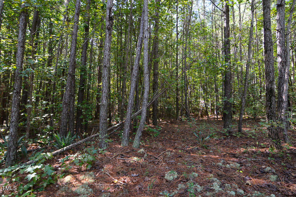 0 Greys Mill Road Louisburg, NC 27549 - Photo 8 of 13 DSC_0837