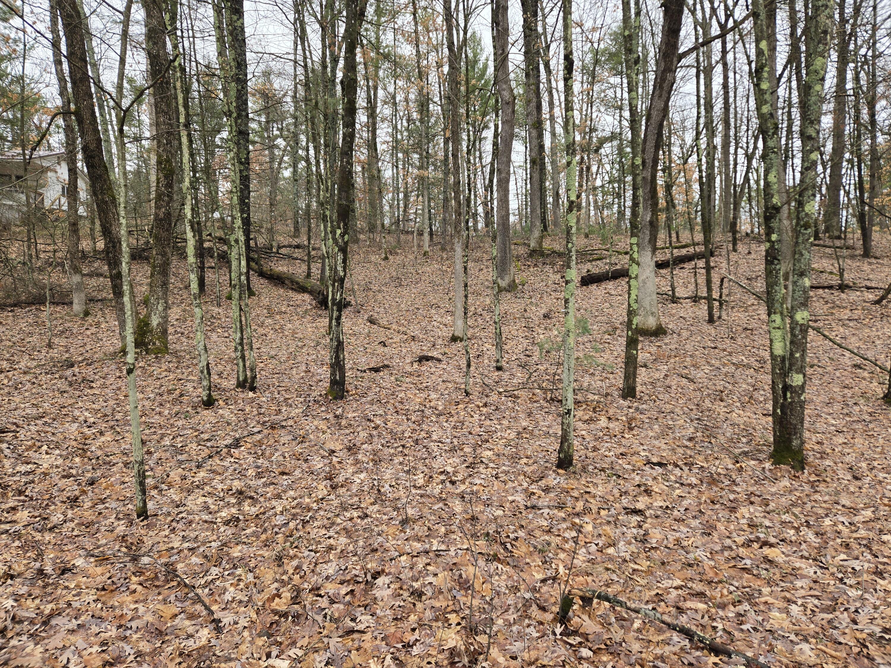 0 West Wilmas Way Baldwin, MI 49304 - Photo 2 of 5 deBlecourt1