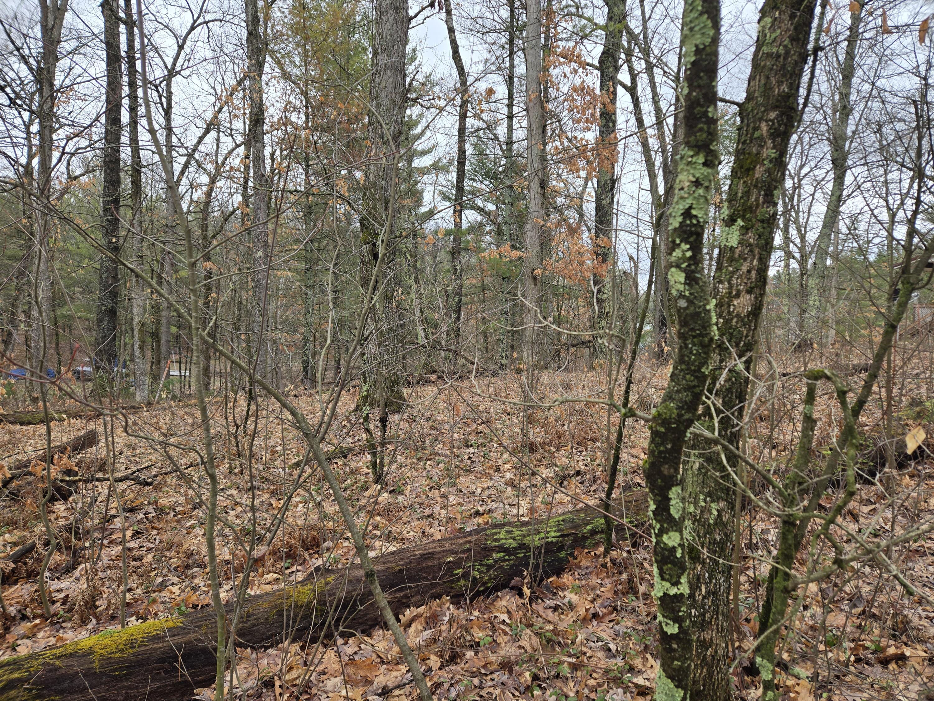 0 West Wilmas Way Baldwin, MI 49304 - Photo 3 of 5 deBlecourt2