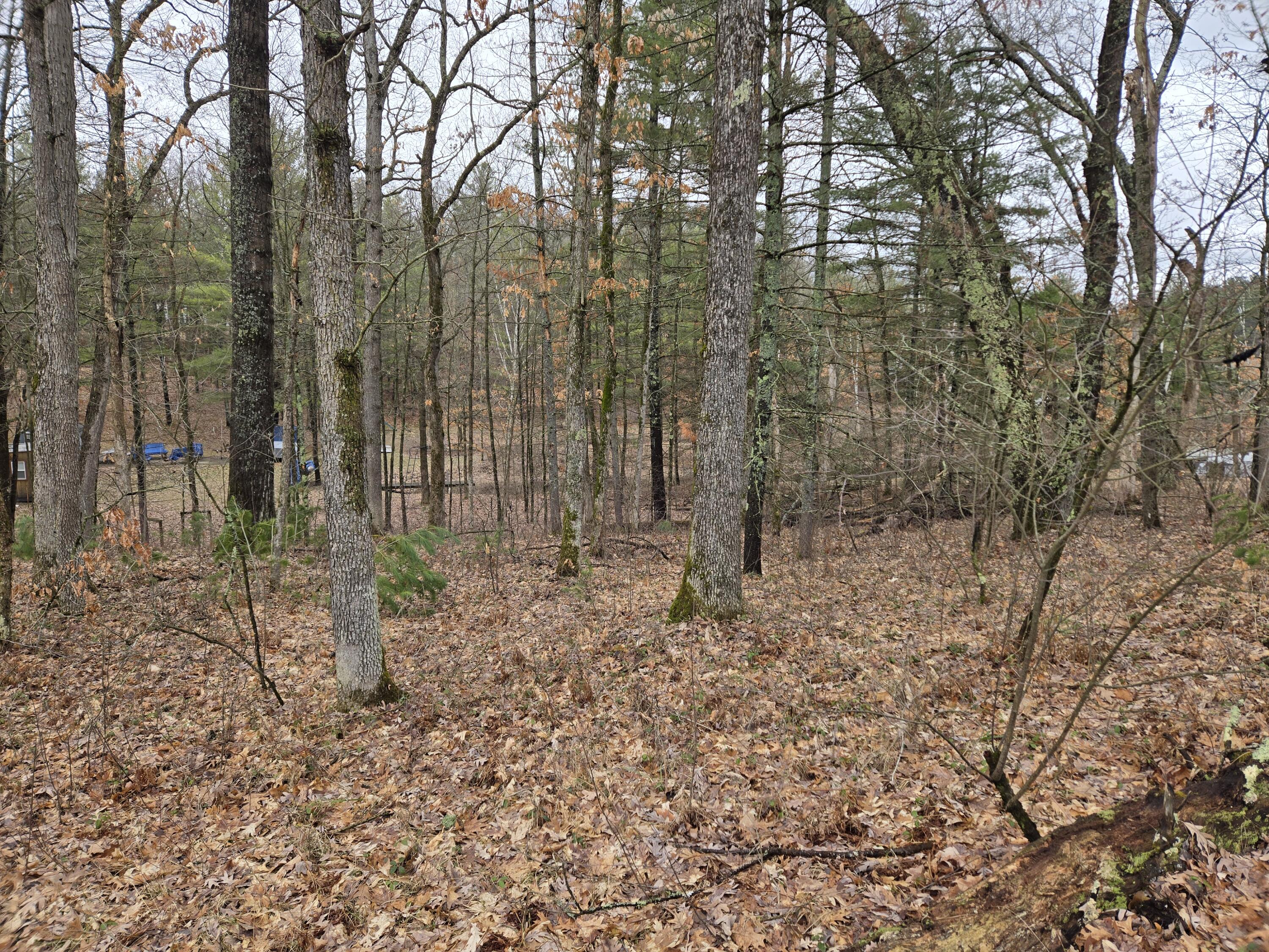 0 West Wilmas Way Baldwin, MI 49304 - Photo 4 of 5 deBlecourt3