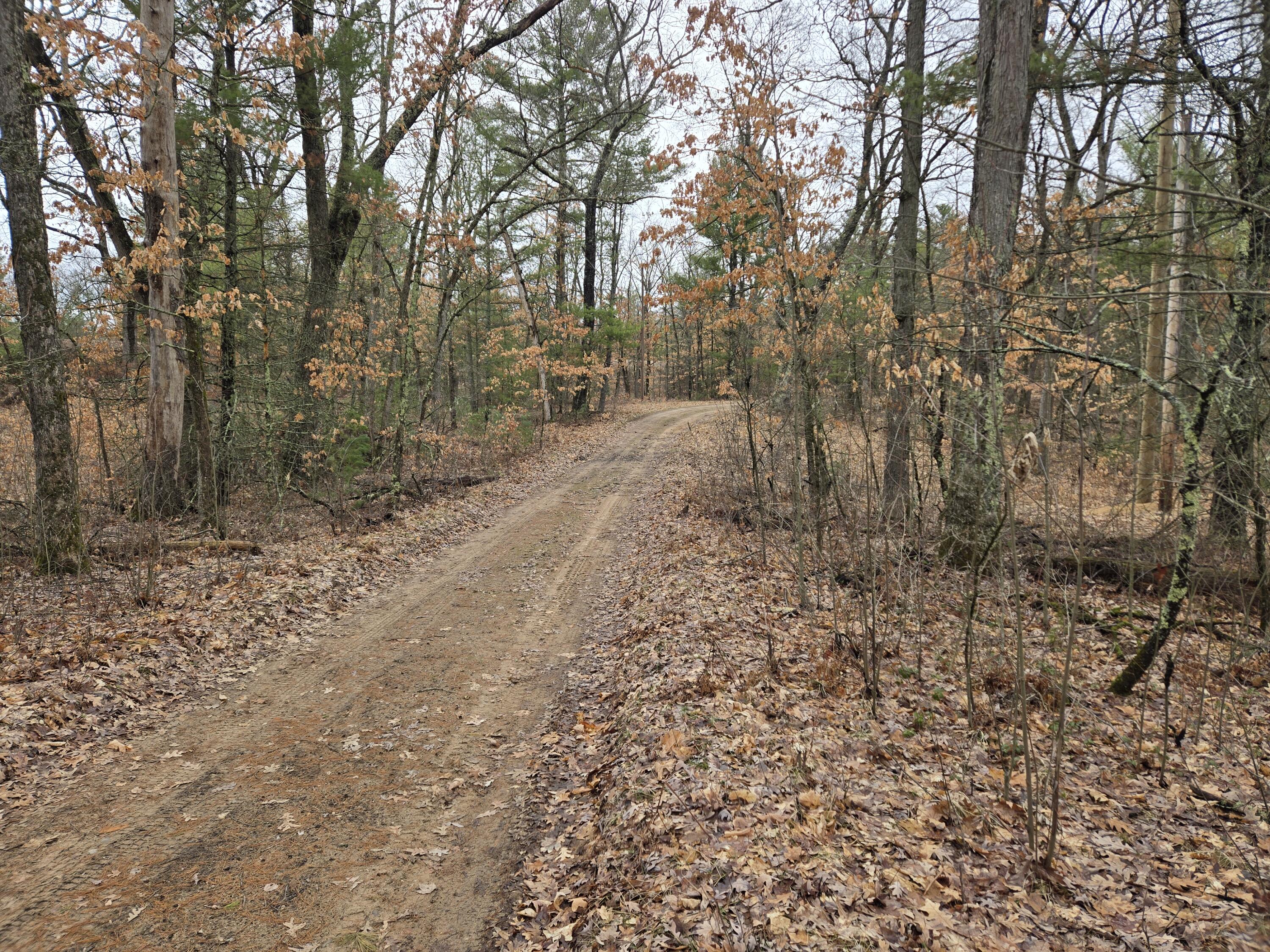 0 West Wilmas Way Baldwin, MI 49304 - Photo 5 of 5 deBlecourt4