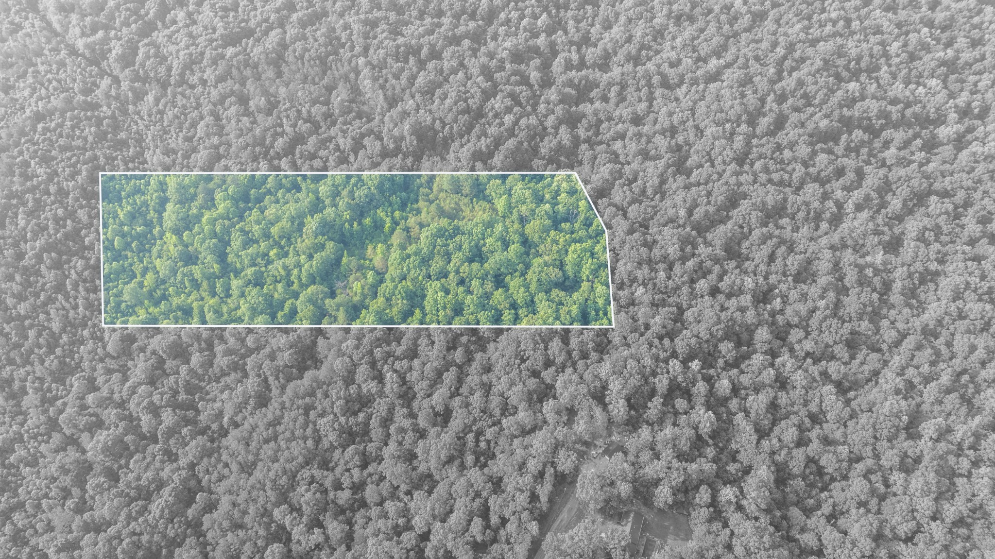 0 Todd Lane Lexington, TN 38351 - Photo 2 of 8 a view of a dry yard