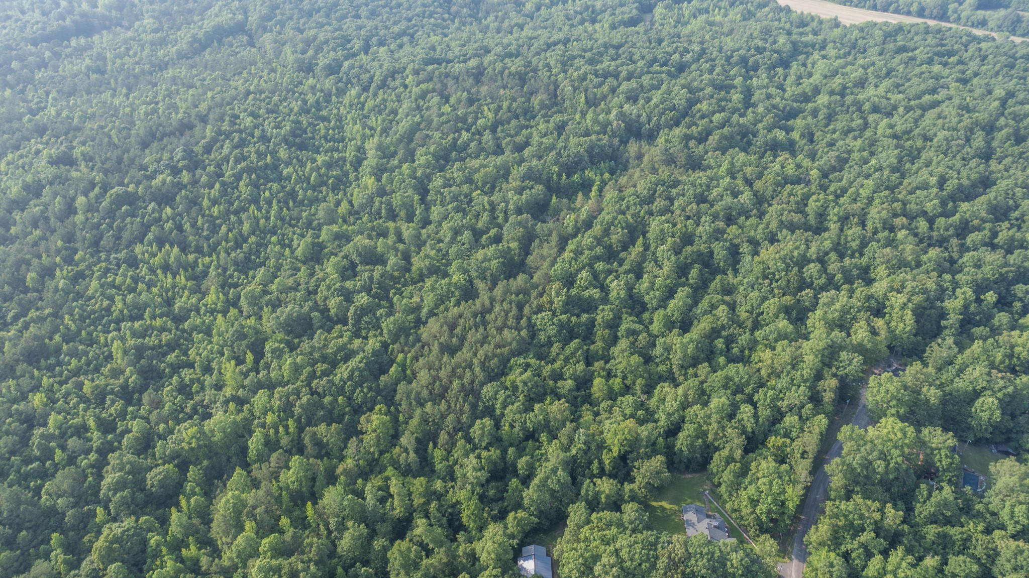 0 Todd Lane Lexington, TN 38351 - Photo 7 of 8 a view of a lush green forest