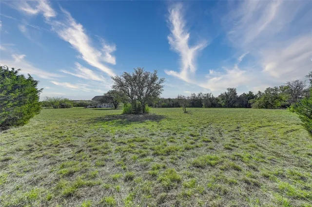 a view of a big yard with a large trees