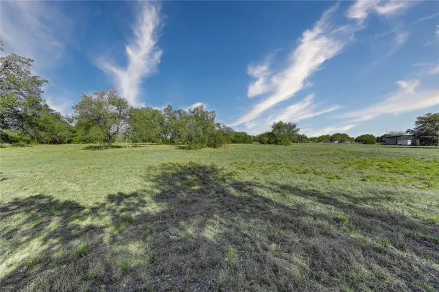 a view of a field with grass and trees