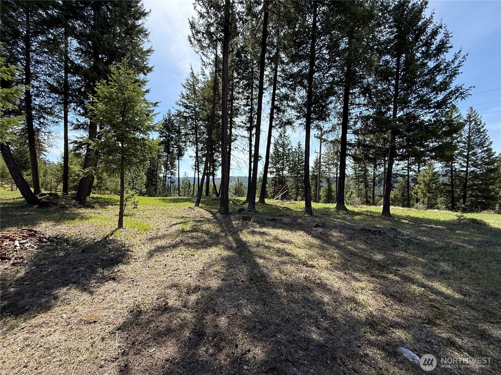 5 Starvation Ridge Road Republic, WA 99166 - Photo 15 of 17 Gallery Image 15