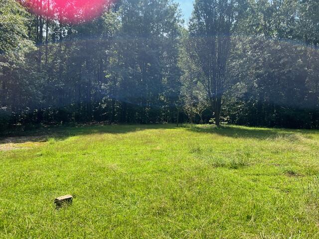 3668 Edgemore Drive Thomson, GA 30824 - Photo 18 of 34 image030