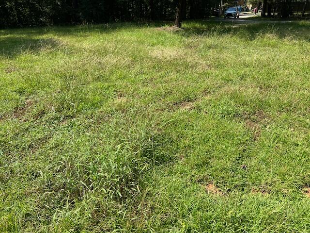 3668 Edgemore Drive Thomson, GA 30824 - Photo 23 of 34 image037