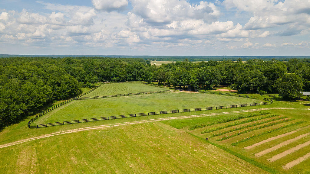 2300 Salley Road Salley, SC 29137 - Photo 83 of 101 Gallery Image 83