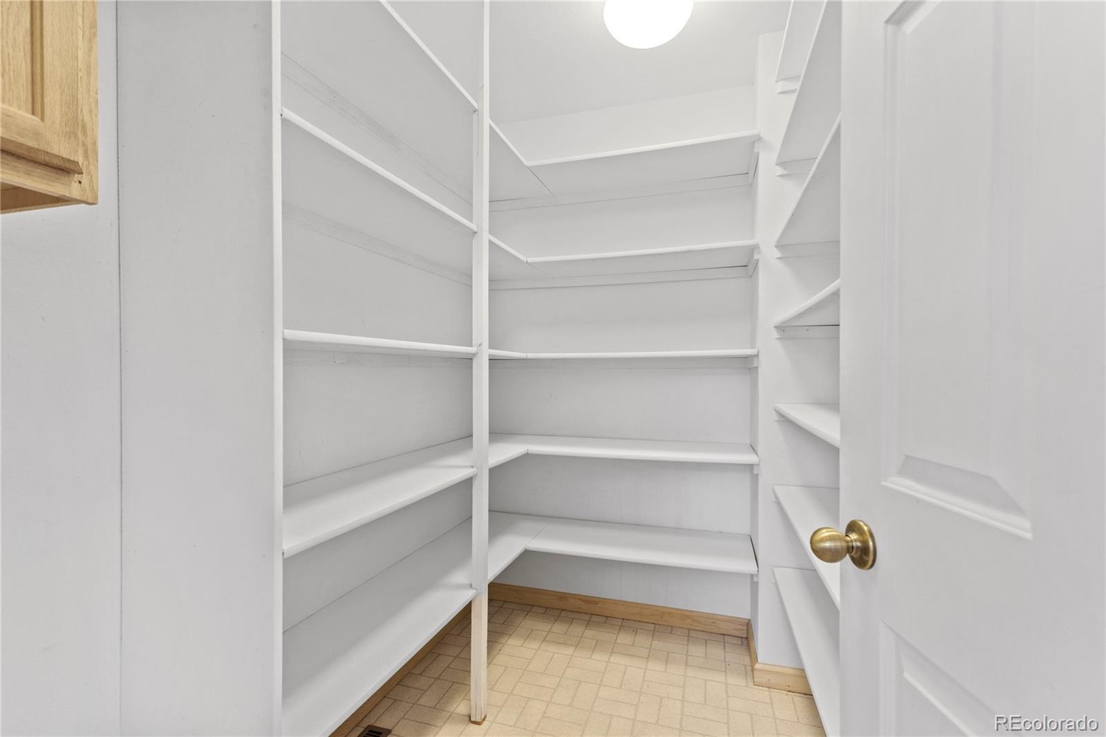 7313 Silverhorn Drive Evergreen, CO 80439 - Photo 17 of 40