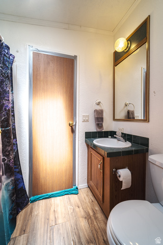 445 South Main Street Fayette, UT 84630 - Photo 24 of 45 Bathroom with vanity, light wood-style flooring, a textured wall, and ornamental molding