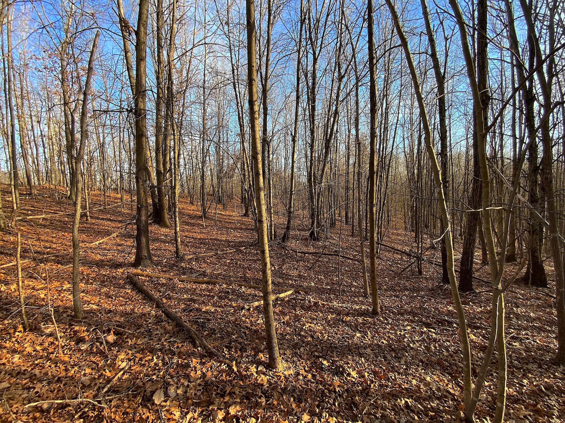 0 Kelly Road Ray, OH 45672 - Photo 45 of 46 Vinton County Kelly Rd 44
