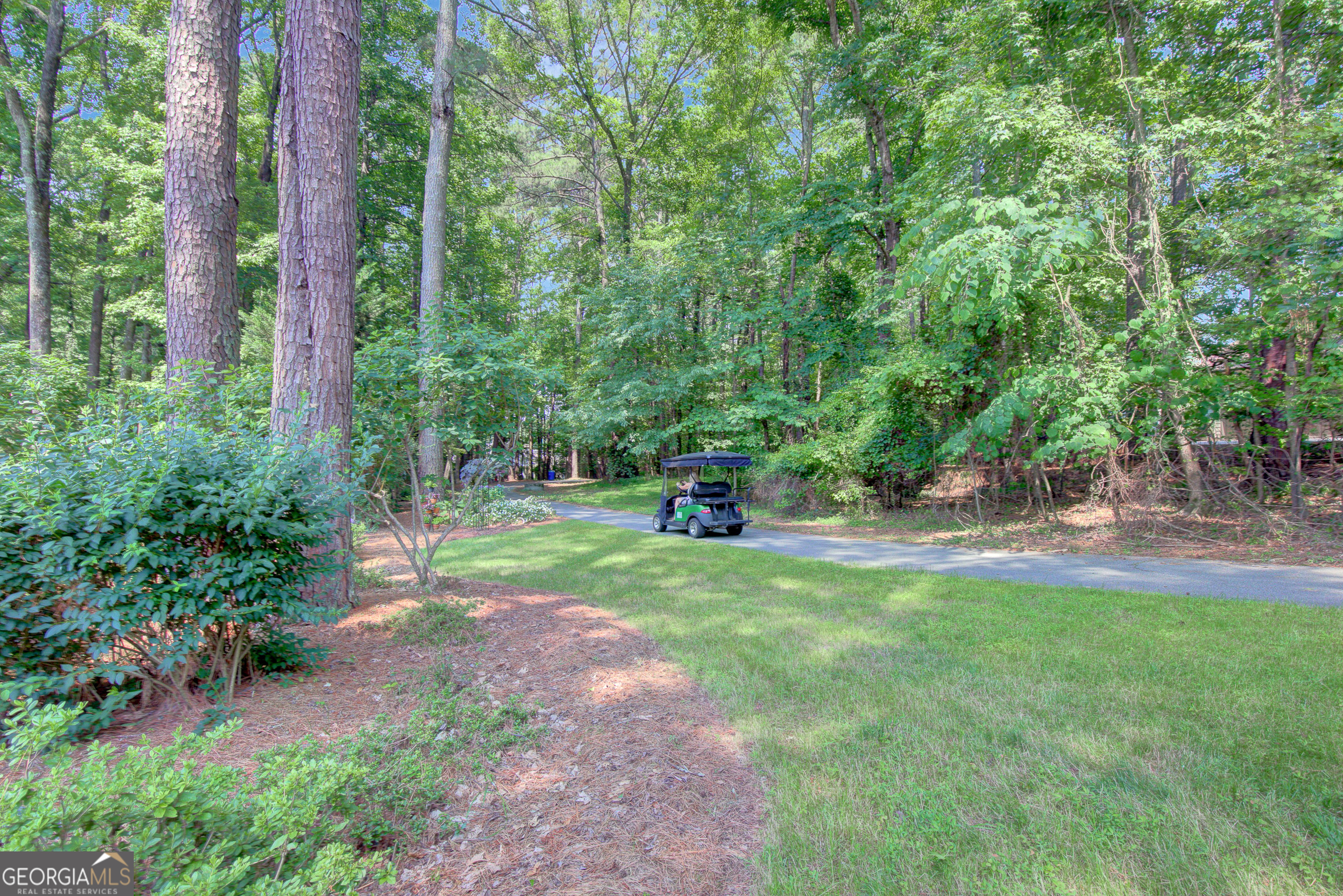 157 Rockspray Ridge Peachtree City, GA 30269 - Photo 72 of 86