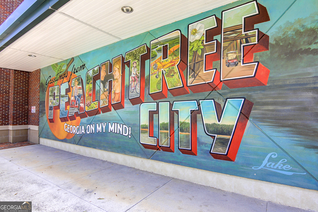 157 Rockspray Ridge Peachtree City, GA 30269 - Photo 82 of 86