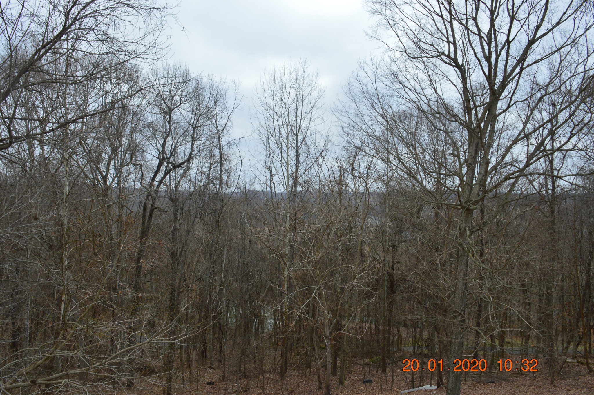 839 Lennox Road Clarksville, TN 37042 - Photo 20 of 21 Gallery Image 20