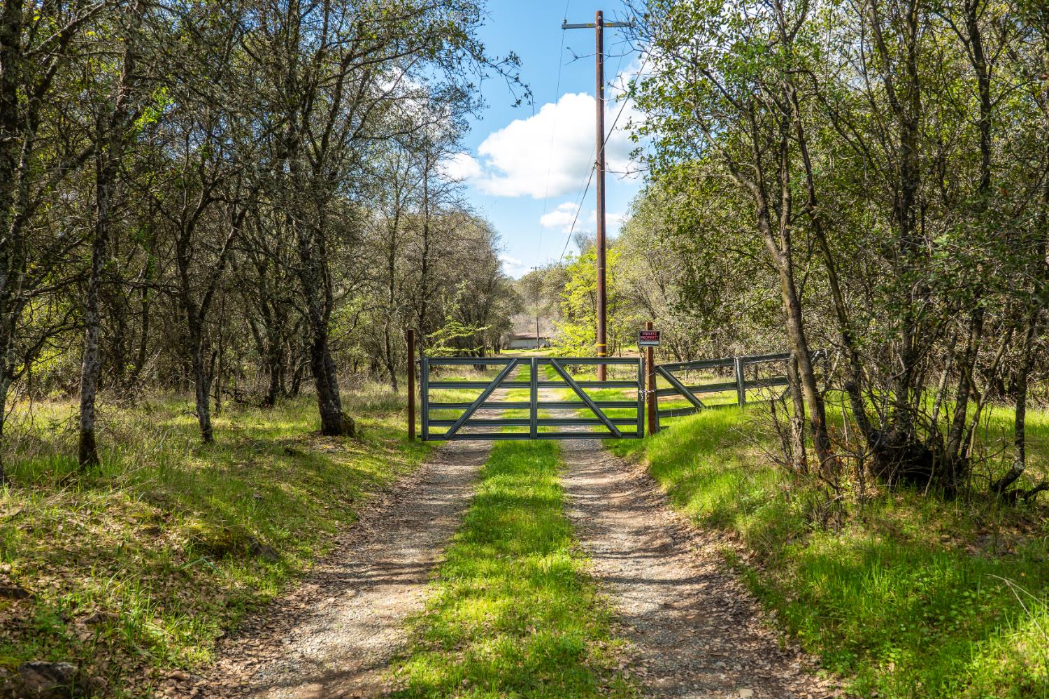 10925 Joeger Road Auburn, CA 95602 - Photo 3 of 24 a view of a park with large trees