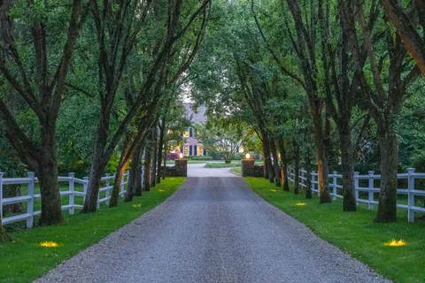 a view of a park with large trees