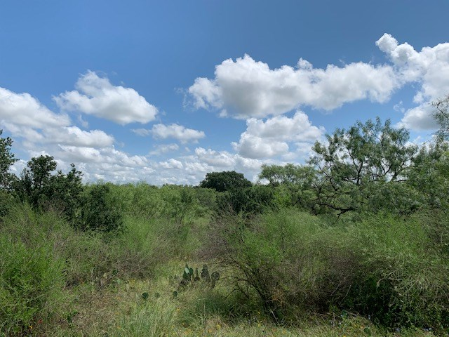 103 South State Highway Llano, TX 78643 - Photo 12 of 24