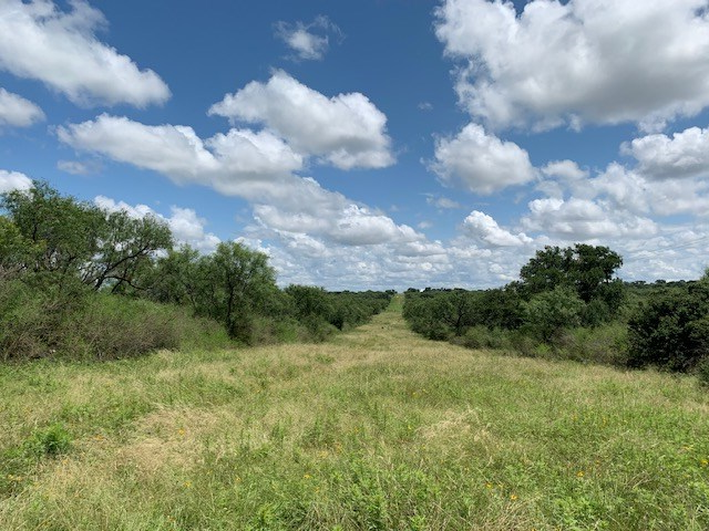 103 South State Highway Llano, TX 78643 - Photo 13 of 24