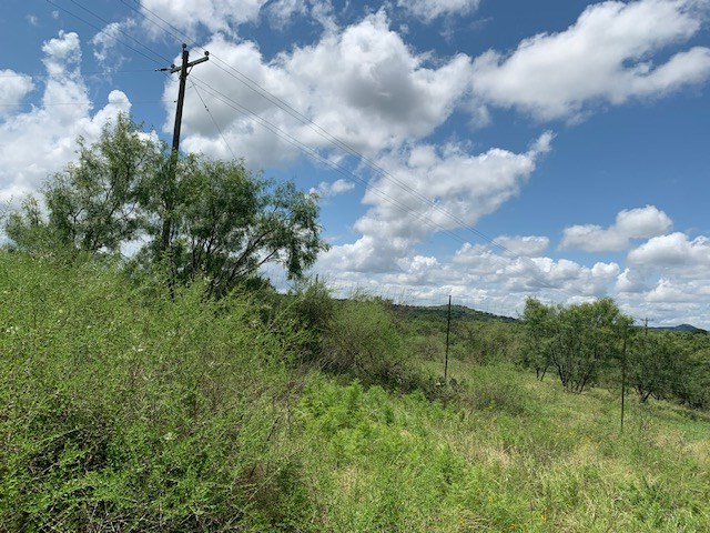 103 South State Highway Llano, TX 78643 - Photo 14 of 24