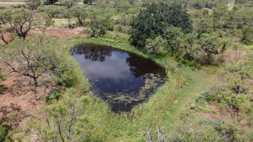 103 South State Highway Llano, TX 78643 - Photo 15 of 24
