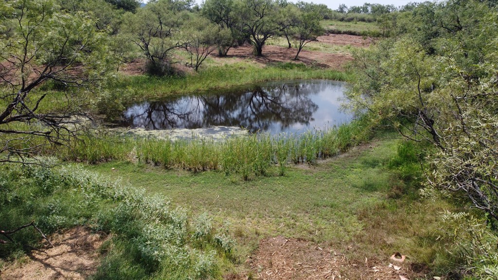 103 South State Highway Llano, TX 78643 - Photo 18 of 24